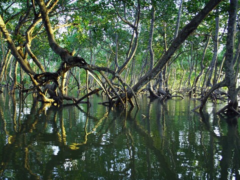 Ilustrasi lawan kata dari eksploitasi. Sumber: www.unsplash.com.