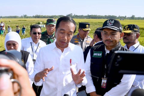 Presiden Joko Widodo meninjau panen raya padi dalam kunjungan kerjanya di Ngawi, Jawa Timur, Sabtu (11/3/2023).  Foto: Biro Pers Sekretariat Presiden
