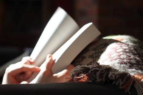 Ilustrasi sinonim gede hulu nyaeta. Foto: Unsplash/Alice Hampson