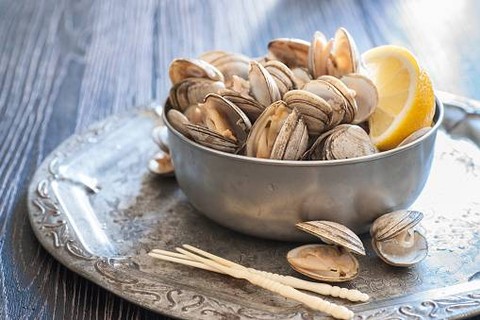 Ilustrasi Kerang Bahasa Inggris     Sumber www.unsplash.com