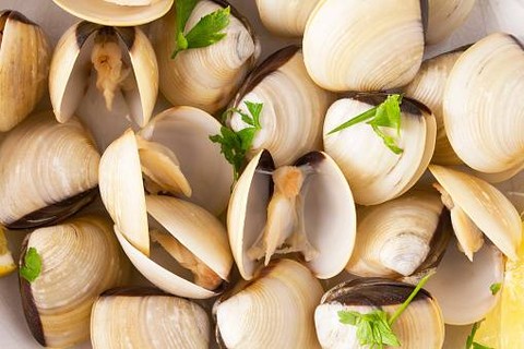 Kunci Jawaban TTS: Kerang Bahasa Inggris                                             Sumber www.unsplash.com