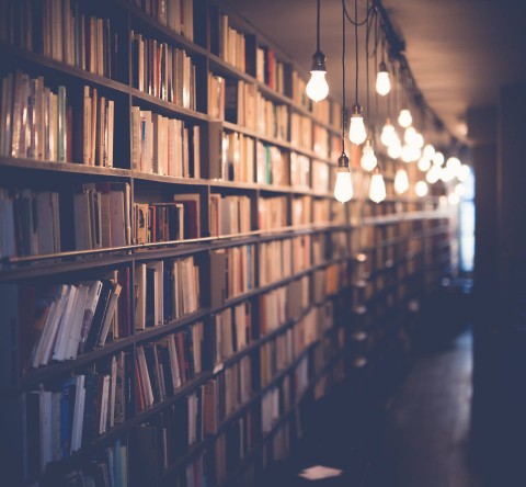 Ilustrasi Buku Foto : Unsplash/🇸🇮 Janko Ferlič