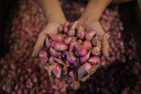 Penjual bawang merah mensortir dagangannya di Pasar Kramat Jati, Jakarta, Rabu (29/3). Foto: Iqbal Firdaus/kumparan