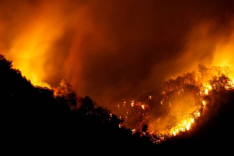 Kebakaran di Hutan Taman Nasional Khao Laem, Thailand.  Foto: THAI NEWS PIX via Reuters