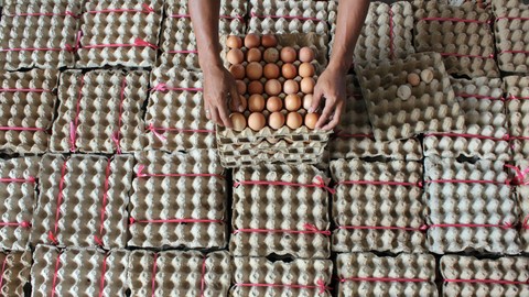 Pekerja menyusun telur ayam di peternakan Desa Pematang Biara, Kabupaten Deli Serdang, Sumatera Utara, Jumat (7/4/2023). Foto: ANTARA FOTO/Yudi