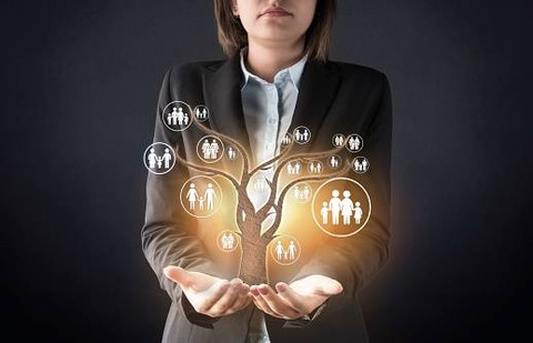 Ilustrasi Asal Usul Suatu Keluarga Berupa Bagan  Foto:Unsplash