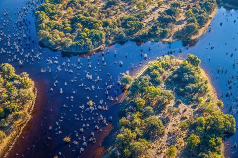 Ilustrasi Botswana. Foto: Vadim Petrakov/Shutterstock