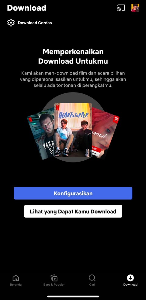 Pengaturan aplikasi download. dok: Netflix
