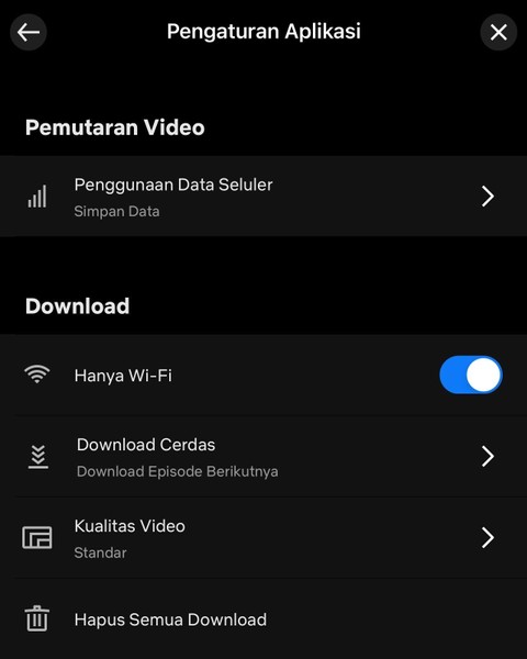 Pengaturan aplikasi download. dok: Netflix
