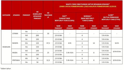 Jenjang karier dosen. Dok KemenPAN-RB