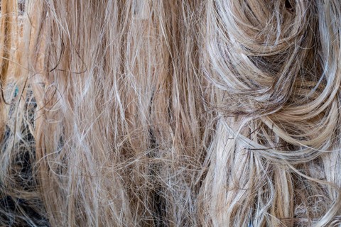 Penenun mimpi menggunakan serat tanaman abacá yang mirip pisang.