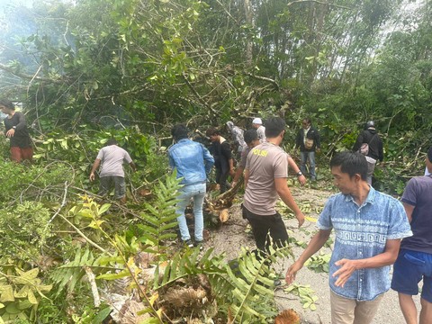 Petugas dibantu warga mengevakuasi pohon yang tumbang menutupi badan jalan. Foto: Dok. Polres Sekadau