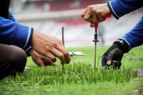 Petugas memperbaiki rumput lapangan Stadion Utama Gelora Bung Karno, Senayan, Jakarta, 8 Mei 2023. Foto: Jamal Ramadhan/kumparan