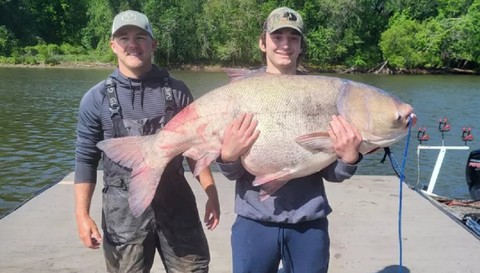 Ikan mas raksasa yang berhasil ditangkap Brannick dan Fort. Foto: High Water Guide Service/Facebook
