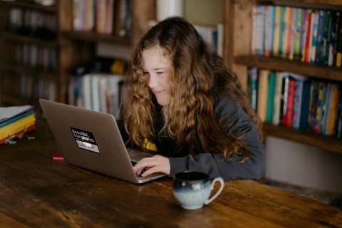 Ilustrasi Kumpulan Soal US IPA Kelas 6 beserta Kunci Jawaban 2023 (Foto: Annie Spratt | Unsplash.com)