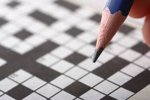 Ilustrasi Bunga yang Selalu Berdua   Sumber www.unsplash.com