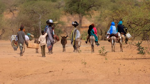 Satu Keluarga berasal dari Sudan yang melarikan diri dari konflik di wilayah Darfur, Sudan, melewati padang pasir setelah mereka melintasi perbatasan antara Sudan dan Chad untuk mencari perlindungan di Goungour, Chad 12 Mei 2023.  Foto: Zohra Bensemra/Reuters