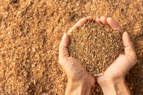 Ilustrasi serbuk kayu. Foto: kram-9/Shutterstock