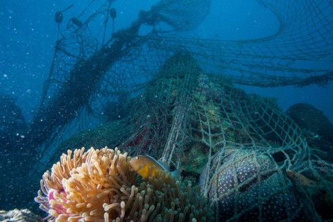 Ilustrasi Jaring Hantu. Foto: ShutterStock