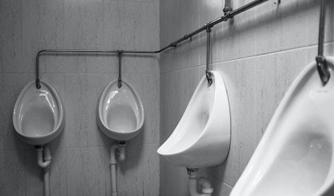 Ilustrasi Jelaskan Proses Terjadinya Urine, Foto Unsplash Help Stay