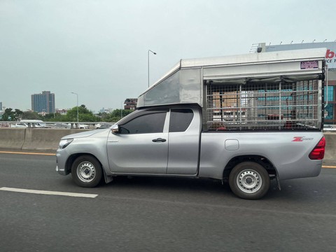 Mobil pick up truck single dan double cabin yang jamak ditemui di Thailand. Foto: Sena Pratama/kumparan