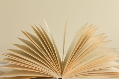 Ilustrasi Sinonim Provokasi, Foto Unsplash Olga Tutunaru