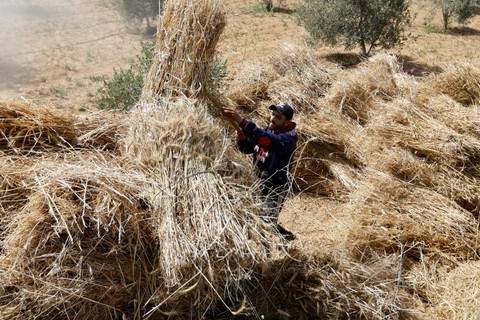  Ibraheem Abu Mustafa/REUTERS