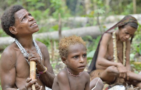 Anggota Suku Korowai. Foto: Sergey Uryadnikov/Shutterstock