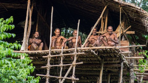 Suku Korowai yang hidup di rumah-rumah panggung. Foto: Sergey Uryadnikov/Shutterstock
