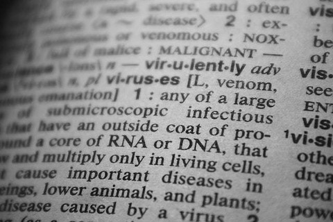 Sinonim fleksibel. Sumber: pexels.com