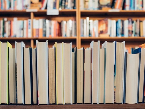 Ilustrasi antonim universal. Sumber: JessicaRuscello/unplash.com.