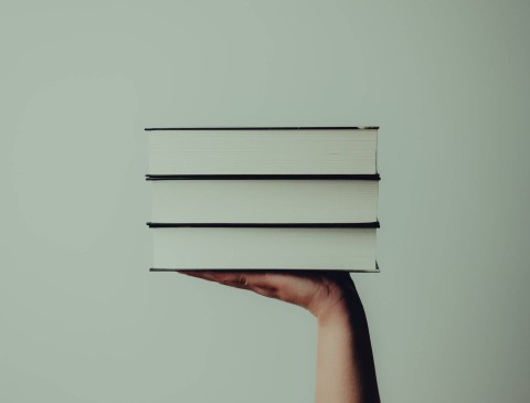 Ilustrasi Lawan Kata Harmoni, Foto Unsplash Tamas Pap