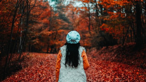 Ilustrasi Lawan Kata Bahagia, sumber foto (Arian Darvishi) by unsplash.com