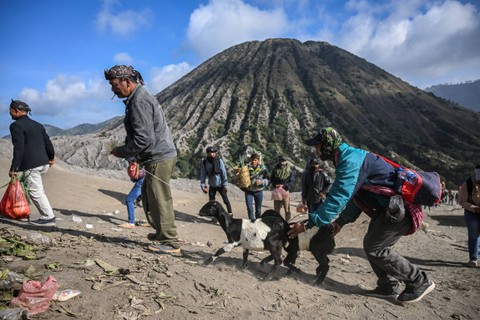 Masyarakat suku Tengger membawa sayur hasil panen dan hewan ternak untuk dilarung ke kawah pada upacara Yadnya Kasada di Gunung Bromo, Probolinggo, Jawa Timur, Senin (5/6/2023). Foto: Juni Kriswanto/AFP