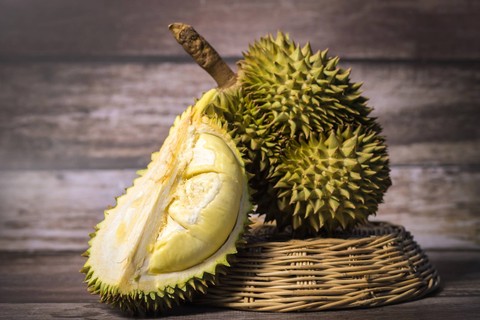 Ilustrasi durian. Foto: News Stock/Shutterstock