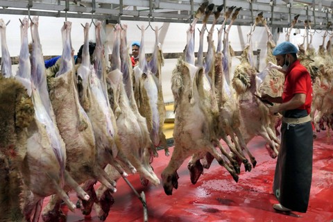 Pekerja menguliti kambing yang disembelih di Pasar Kambing Anam, kawasan Kilo Asyaro, Mekah, Arab Saudi, Senin (12/6/2023). Foto: Wahyu Putro A/Antara Foto