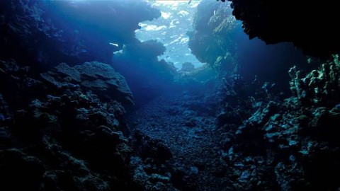 Ilustrasi Contoh Soal Menghitung Kedalaman Laut, Foto: Unsplash.