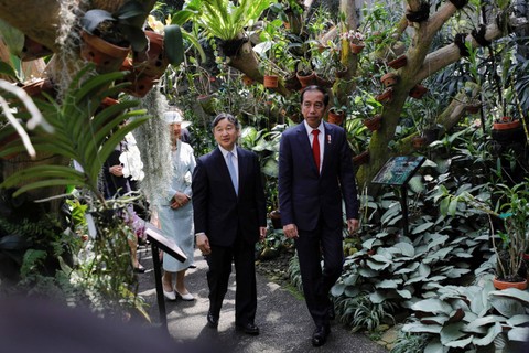 Presiden Joko Widodo bersama Kaisar Jepang Naruhito mengunjungi Griya Anggrek di Kebun Raya Bogor, Senin (19/6/2023).  Foto: Willy Kurniawan/Pool/REUTERS