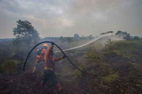 Petugas Badan Penanggulangan Bencana Daerah (BPBD) Kalsel berupaya memadamkan api yang membakar lahan gambut di Landasan Ulin, Banjarbaru, Kalimantan Selatan, Senin (19/6/2023).  Foto: Bayu Pratama S/ANTARA FOTO