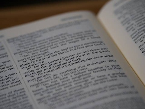 Sinonim dipengaruhi. Sumber: pexels.com