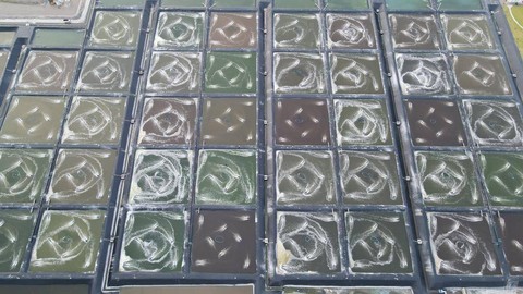 Foto udara di tambak budidaya udang berbasis kawasan (BUBK) milik Kementerian Kelautan dan Perikanan di Kebumen, Jawa Tengah. Foto: Dok. KKP