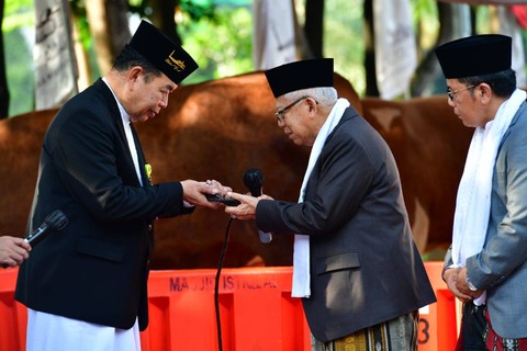 Wakil Presiden Ma'ruf Amin menyerahkan sapi kurban ke Masjid Istiqlal. Foto: Dok. BPMI Setwapres