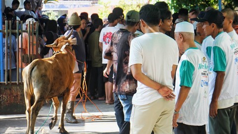 Seorang warga menggiring hewan kurban saat kegiatan pemotongan Kecamatan Ilir Barat Satu Palembang, Kamis (29/6) Foto: urban id