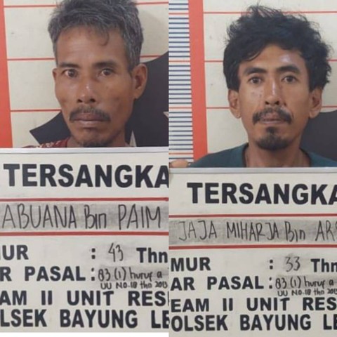 Kedua pelaku pembawa ilegal logging, Foto : Istimewa