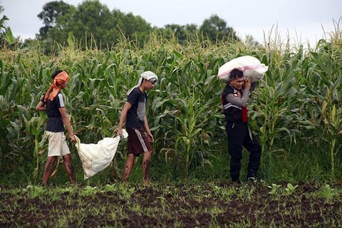 Foto dengan judul 'Polisi Peduli Petani dan Ketahanan Pangan' 