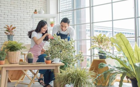 Ilustrasi Benda-Benda Yang Diperlukan Tukang Kebun, Foto: Unsplash.