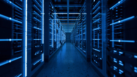 dotshock/Shutterstock