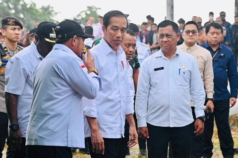 Presiden Joko Widodo meninjau ladang jagung di Food Estate, Keerom, Papua, Kamis (6/7/2023).  Foto: Biro Pers Sekretariat Presiden