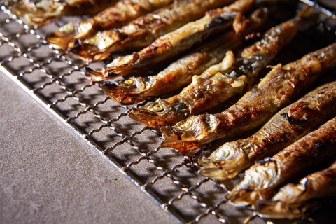 Ikan shisamo dari Jepang yang viral karena Cipung. Foto: mnimage/Shutterstock