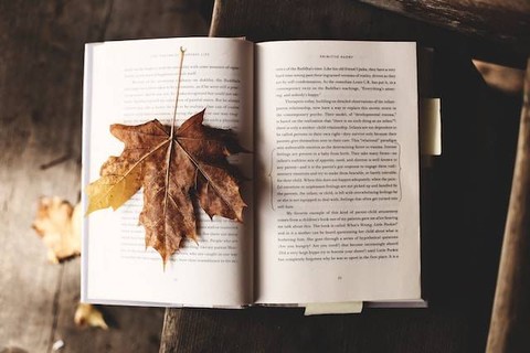 Ilustrai pengertian dan sinonim pikiran. Foto: Unsplash/Ksenia Makagonova
